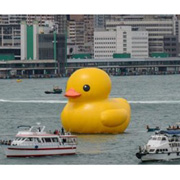 inflatable swim ring duck